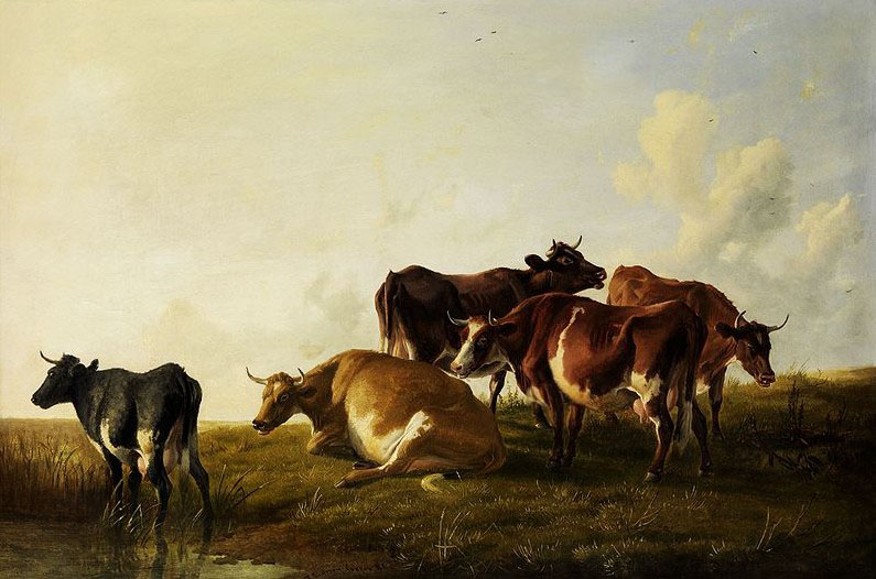 Cattle in the pasture.